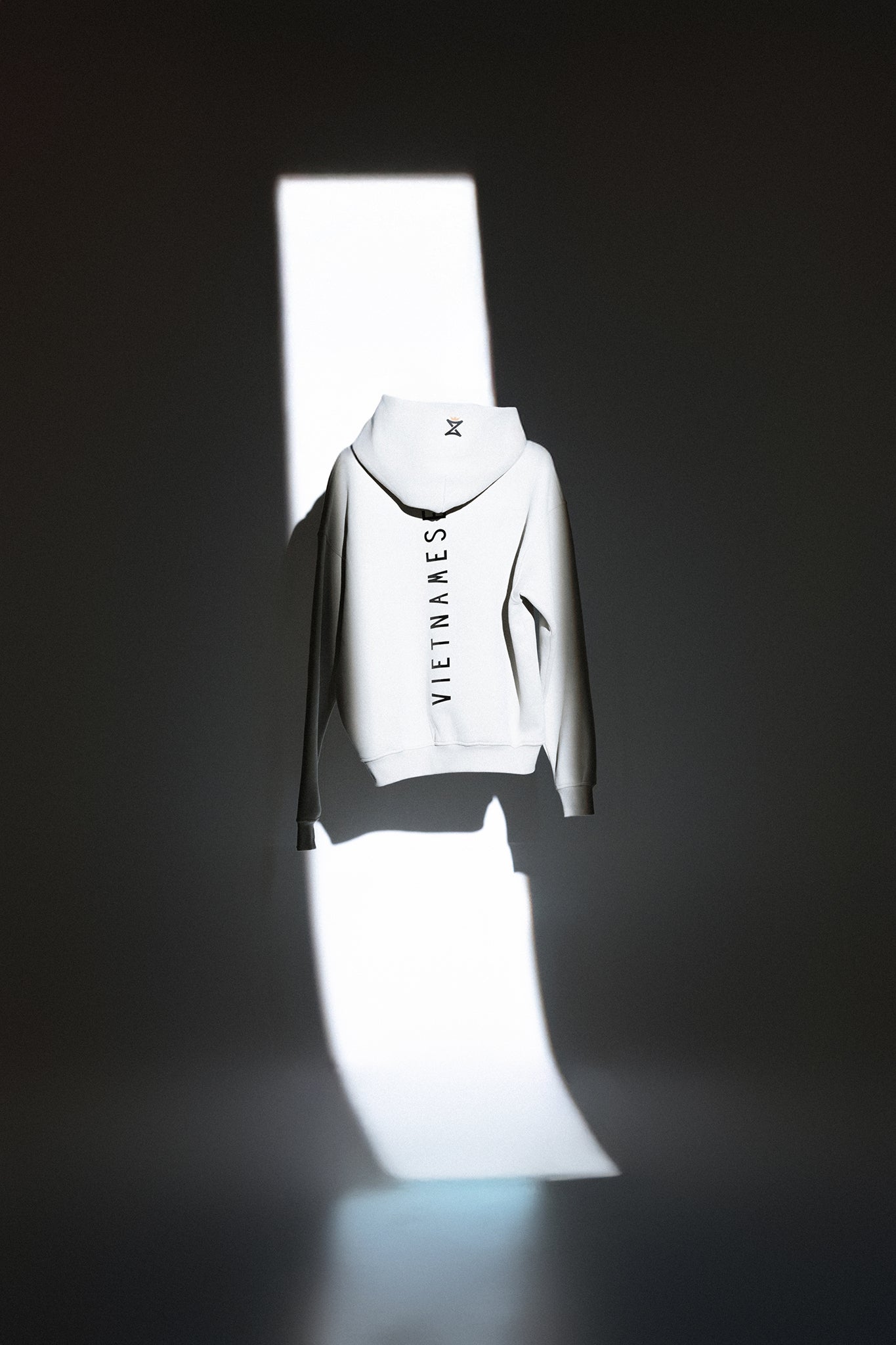 "VIETNAMESE" Fleece Hoodie - Warm Beige